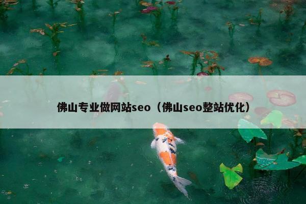 佛山专业做网站seo（佛山seo整站优化）