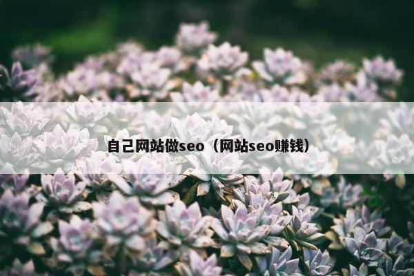 自己网站做seo（网站seo赚钱）