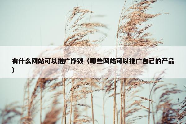 有什么网站可以推广挣钱（哪些网站可以推广自己的产品）
