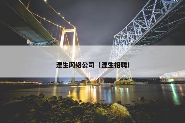 涅生网络公司（涅生招聘）