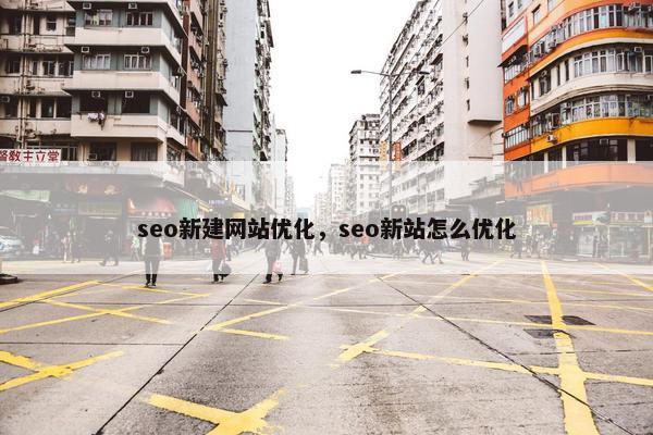 seo新建网站优化，seo新站怎么优化