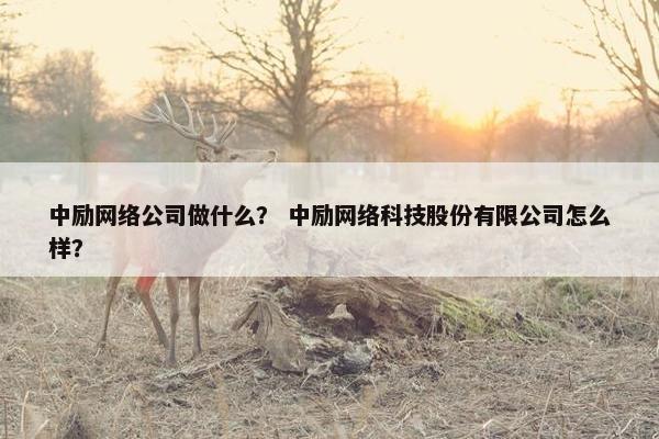 中励网络公司做什么？ 中励网络科技股份有限公司怎么样？