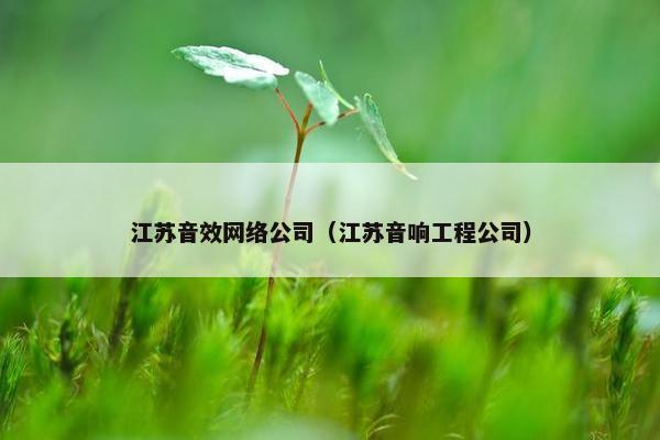 江苏音效网络公司（江苏音响工程公司）
