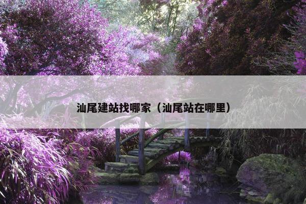 汕尾建站找哪家（汕尾站在哪里）
