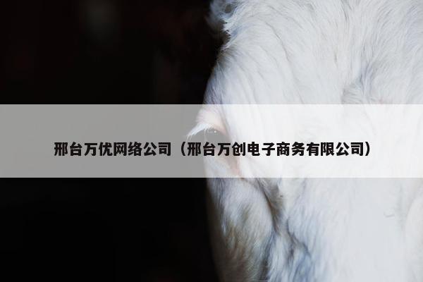 邢台万优网络公司（邢台万创电子商务有限公司）