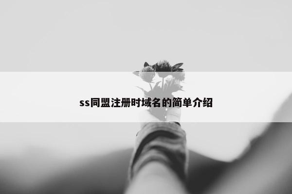 ss同盟注册时域名的简单介绍