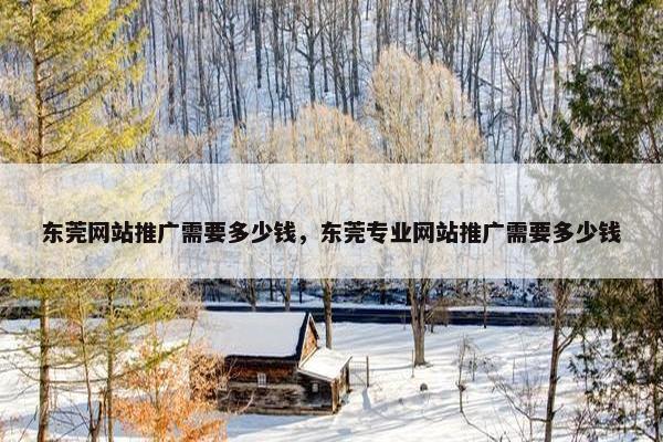 东莞网站推广需要多少钱，东莞专业网站推广需要多少钱
