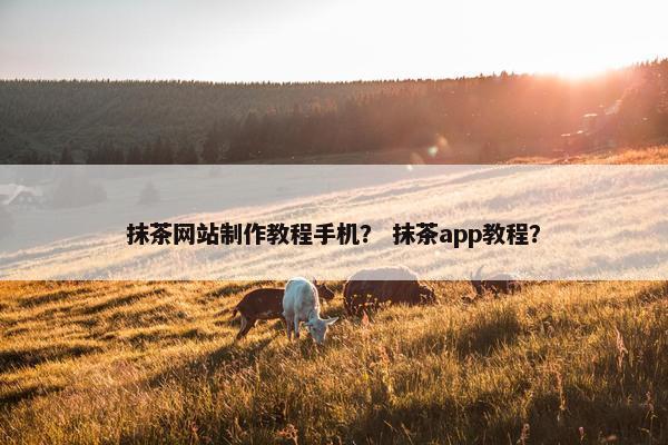 抹茶网站制作教程手机？ 抹茶app教程？