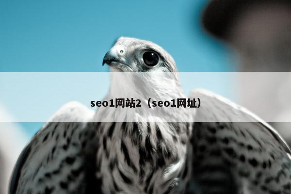 seo1网站2（seo1网址）