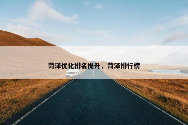 菏泽优化排名提升，菏泽排行榜