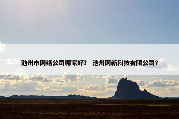 池州市网络公司哪家好？ 池州网新科技有限公司？
