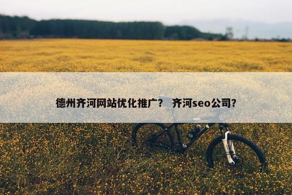德州齐河网站优化推广？ 齐河seo公司？