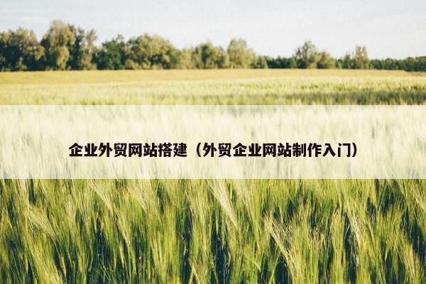 企业外贸网站搭建（外贸企业网站制作入门）