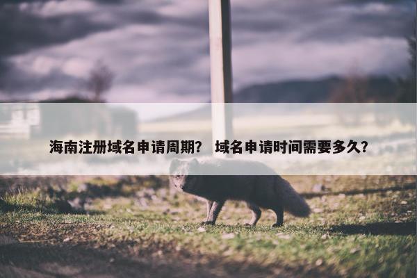 海南注册域名申请周期？ 域名申请时间需要多久？