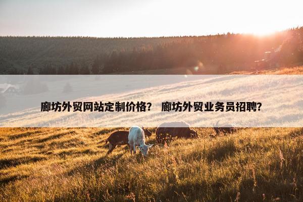 廊坊外贸网站定制价格？ 廊坊外贸业务员招聘？