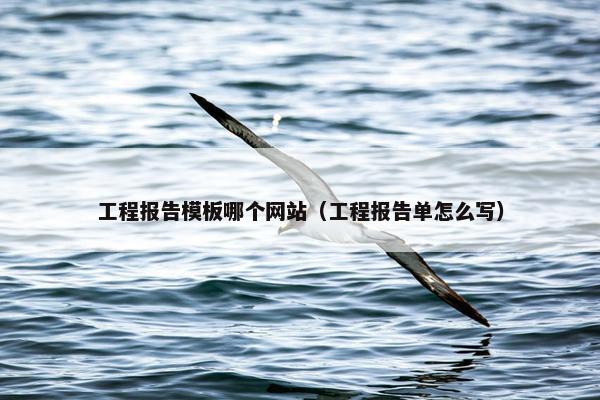 工程报告模板哪个网站（工程报告单怎么写）