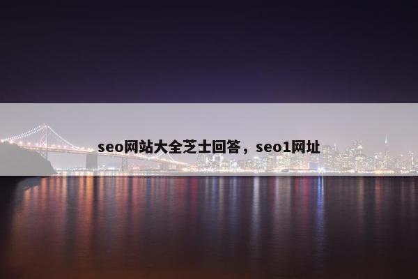 seo网站大全芝士回答，seo1网址