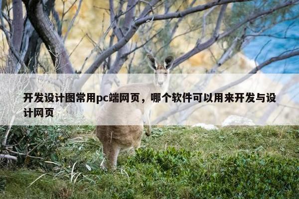 开发设计图常用pc端网页，哪个软件可以用来开发与设计网页