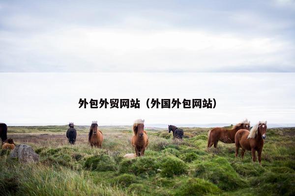 外包外贸网站（外国外包网站）