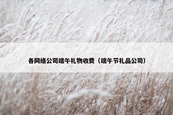 各网络公司端午礼物收费（端午节礼品公司）