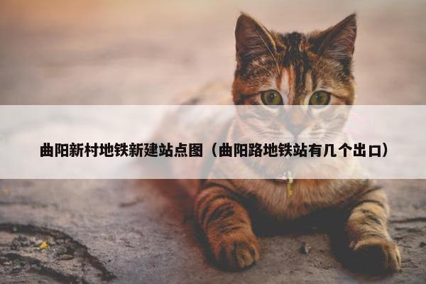 曲阳新村地铁新建站点图（曲阳路地铁站有几个出口）