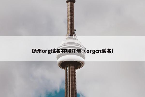 扬州org域名在哪注册（orgcn域名）