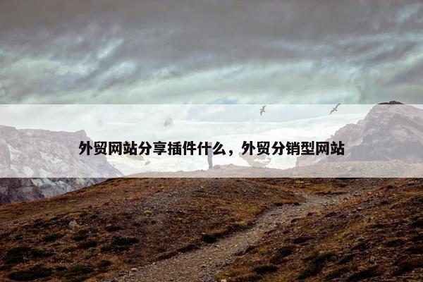 外贸网站分享插件什么，外贸分销型网站