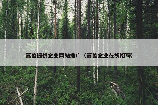 嘉善提供企业网站推广（嘉善企业在线招聘）