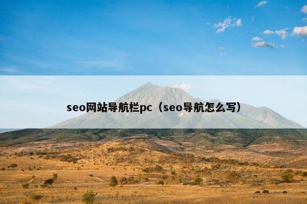 seo网站导航栏pc（seo导航怎么写）