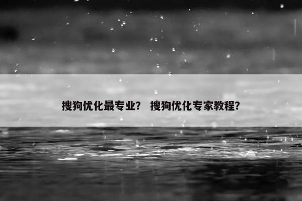 搜狗优化最专业？ 搜狗优化专家教程？
