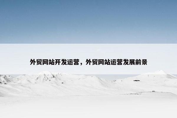 外贸网站开发运营，外贸网站运营发展前景