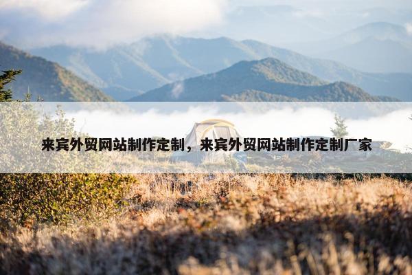 来宾外贸网站制作定制，来宾外贸网站制作定制厂家