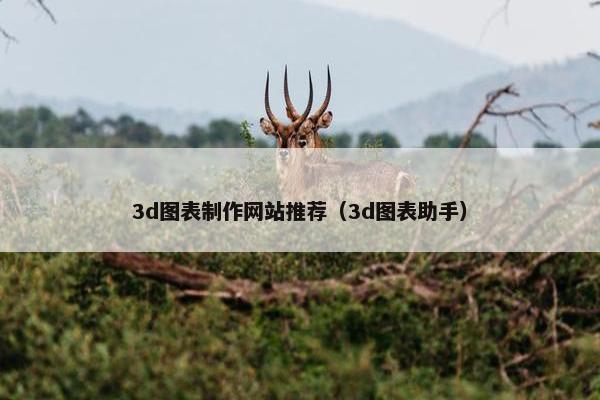 3d图表制作网站推荐（3d图表助手）
