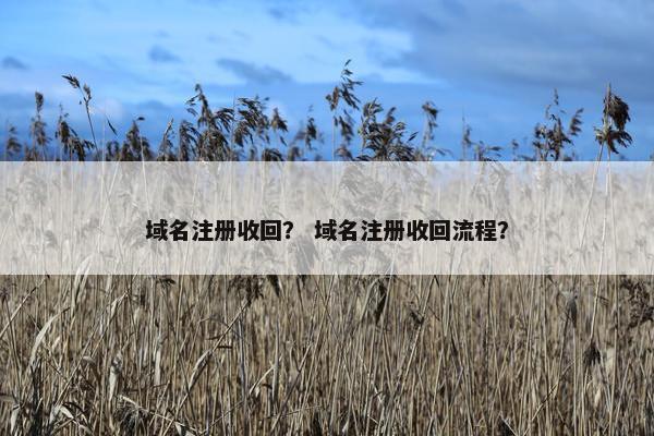 域名注册收回？ 域名注册收回流程？