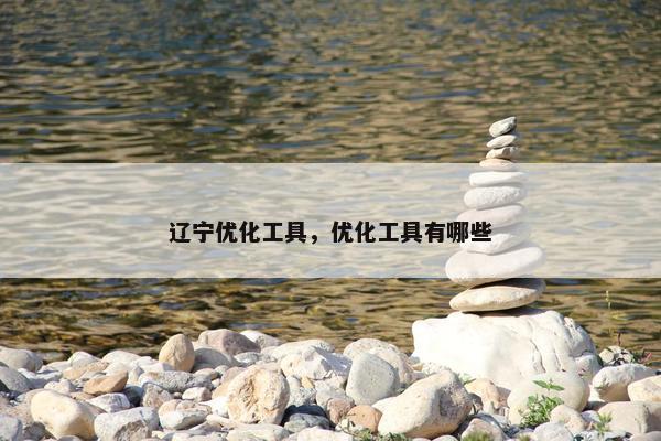 辽宁优化工具，优化工具有哪些