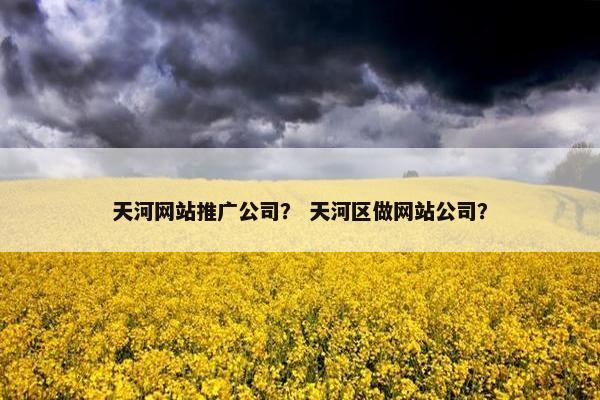 天河网站推广公司？ 天河区做网站公司？