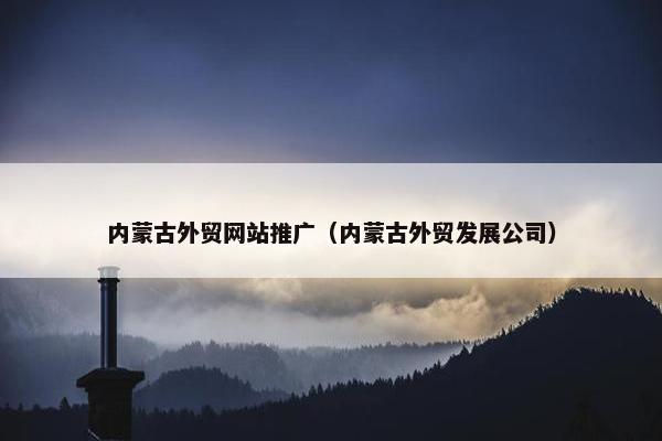 内蒙古外贸网站推广（内蒙古外贸发展公司）