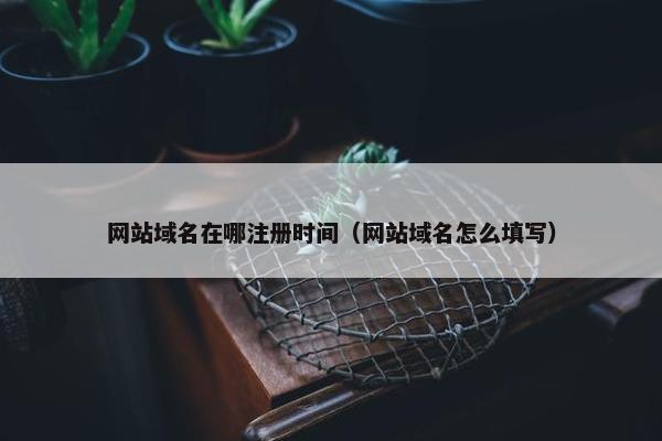 网站域名在哪注册时间（网站域名怎么填写）