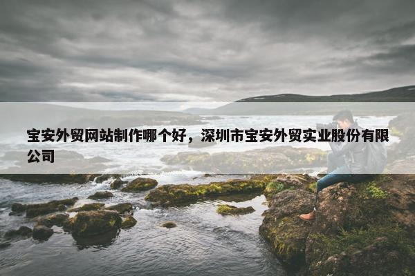 宝安外贸网站制作哪个好，深圳市宝安外贸实业股份有限公司