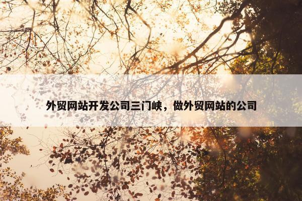 外贸网站开发公司三门峡，做外贸网站的公司