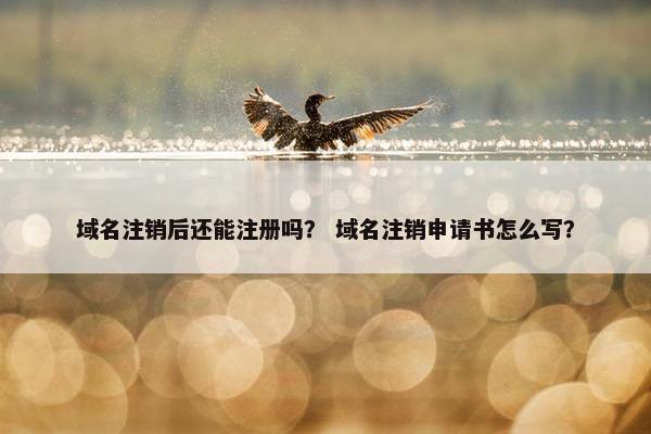 域名注销后还能注册吗？ 域名注销申请书怎么写？