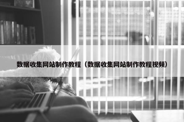 数据收集网站制作教程（数据收集网站制作教程视频）