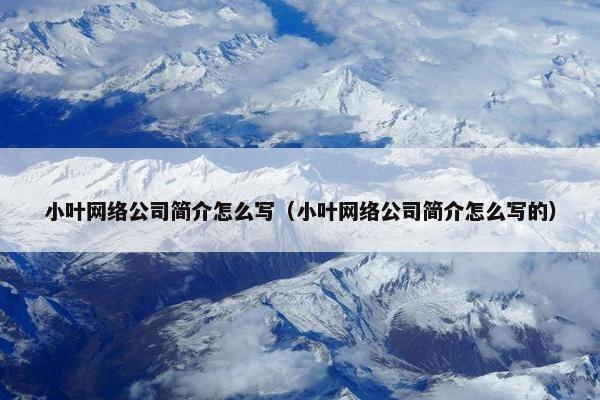 小叶网络公司简介怎么写（小叶网络公司简介怎么写的）