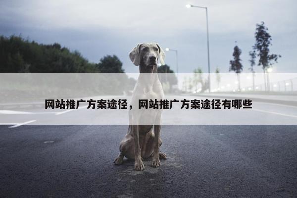网站推广方案途径，网站推广方案途径有哪些