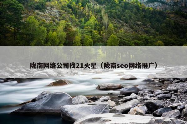 陇南网络公司找21火星（陇南seo网络推广）