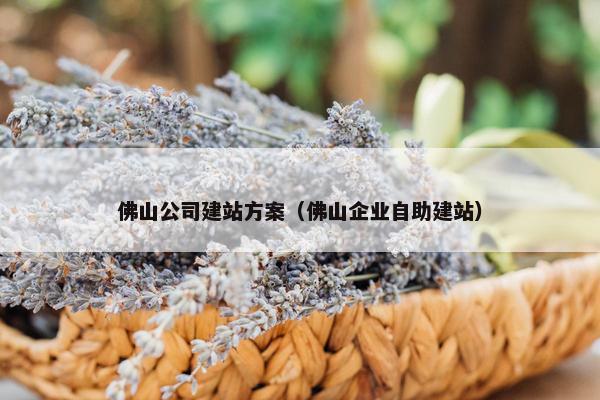 佛山公司建站方案（佛山企业自助建站）