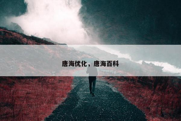 唐海优化，唐海百科