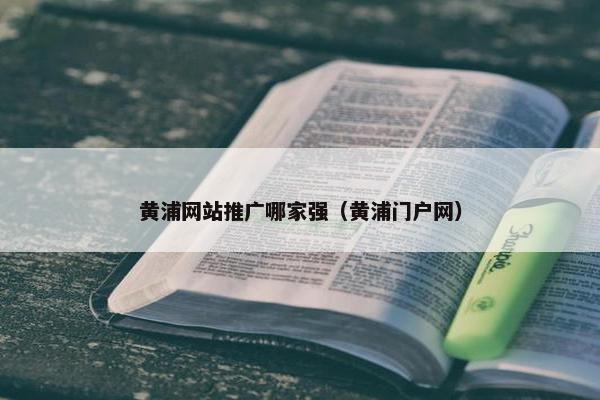 黄浦网站推广哪家强（黄浦门户网）