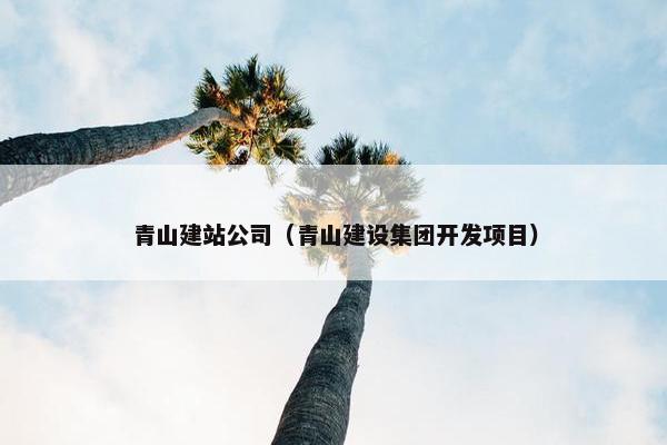 青山建站公司（青山建设集团开发项目）