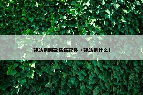 建站用哪款采集软件（建站用什么）